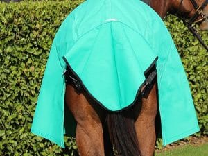 GREGORY EQUINE TAIL GUARD