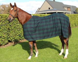 GREGORY EQUINE WOOLEN DRESS RUG