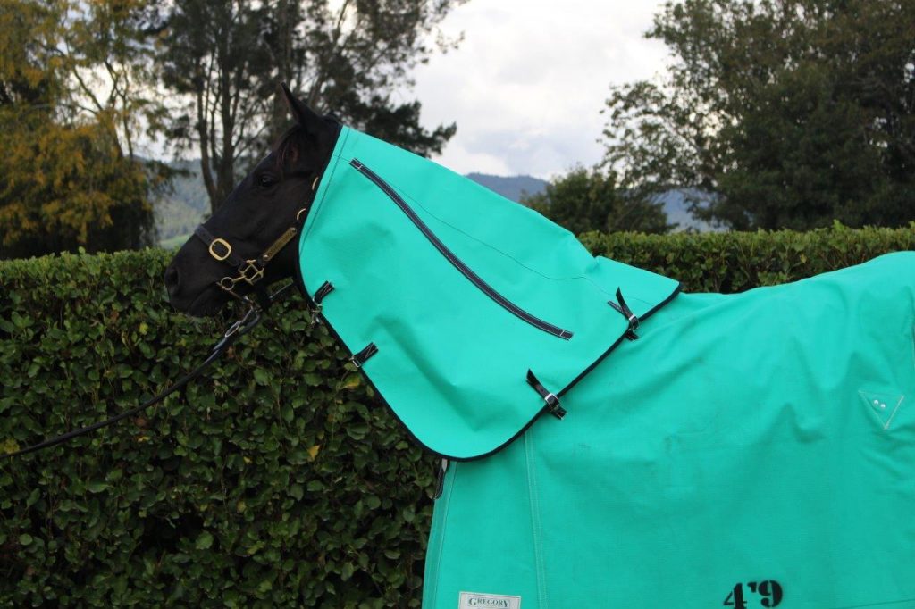 GREGORY EQUINE LINED CANVAS NECK PIECES