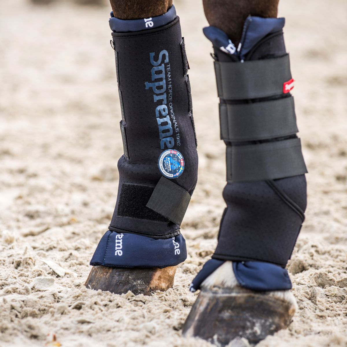 equine stable boots