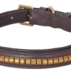 Cavallino Brass Clincher Leather Dog Collar