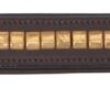 Cavallino Brass Clincher Leather Dog Collar - Image 2