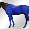 Hidez Compression Suit - Full Leg - Image 2
