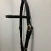 Gregory Equine Leather Race Bridle