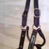 Gregory Equine Leather Halter Single Head Buckle & Rolled Throat