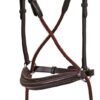 Platinum Bitless Bridle - Image 2