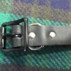 Gregory Equine Front Strap - Image 2