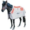 Dick Wicks Magnetic Horse Rug - Image 2
