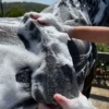 Hairy Pony Compressed Scrubbing Sponge - Image 2