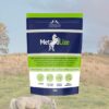 MetaboLize