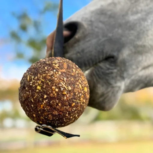 Health Horse Stayball - Image 2