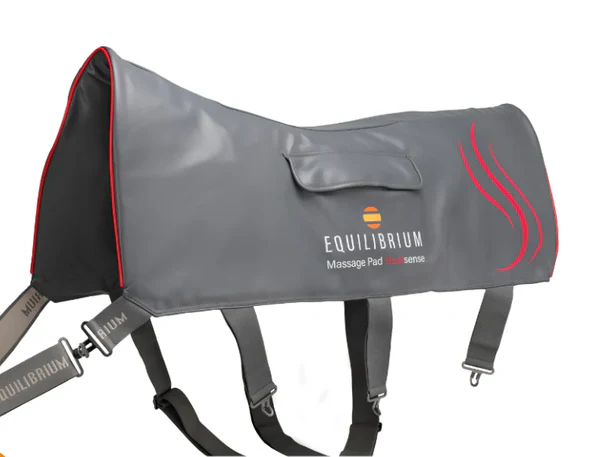 Equilibrium Massage Pad Heat Sense