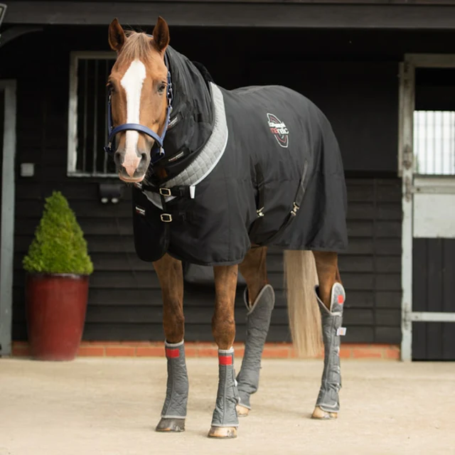 Equilibrium Magnetic Rug & Neckrug