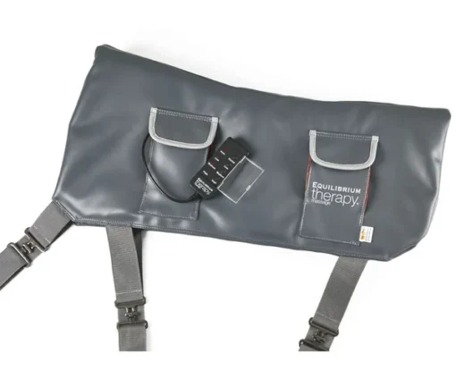Equilibrium Massage Pad - Image 2